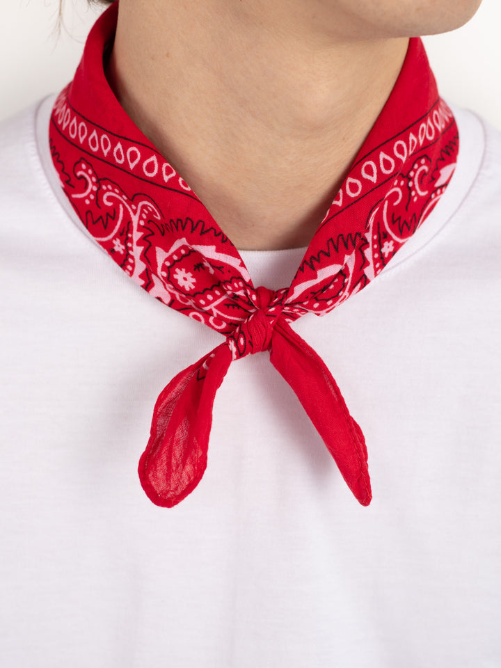 Vintage Bandana in Red